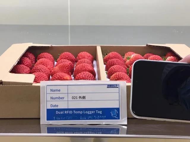 Japanese strawberry factory has adopted RFID sensor tag temperature control system